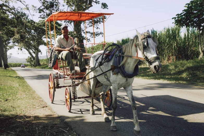 a man riding a carriage pulled by two horses down a country road