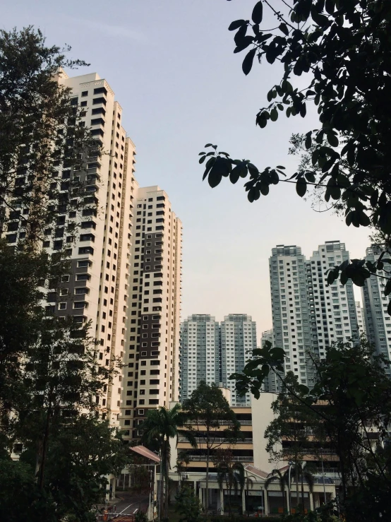 tall buildings sit in front of green trees and blue sky