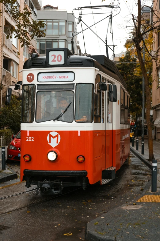 a red and white train on tracks next to a tree