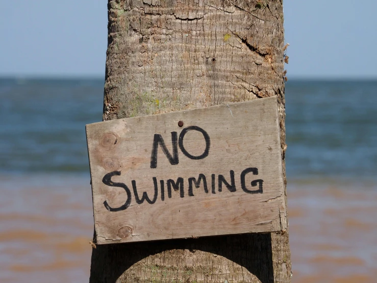 a sign is posted on the side of a tree in the ocean