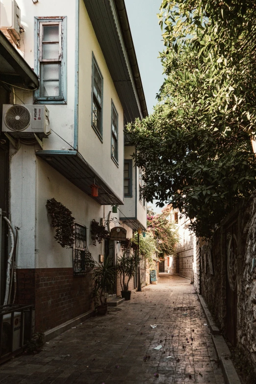 small alley way in city with trees and bushes