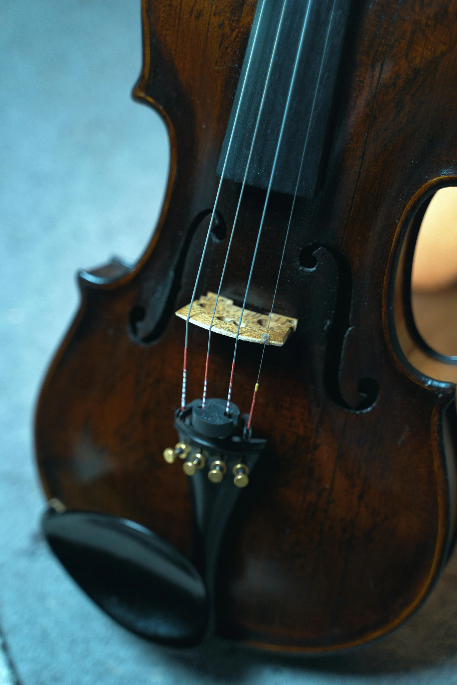 a violin on the floor looking at itself