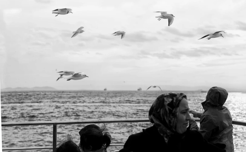 a man watching seagulls fly overhead in black and white