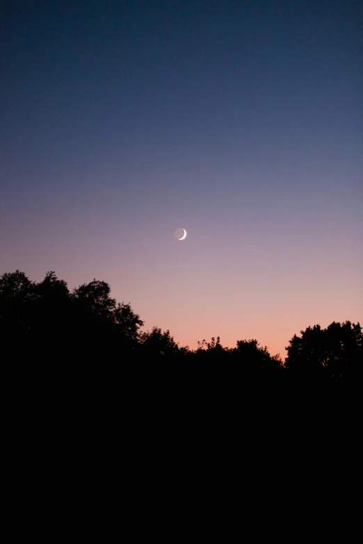 the moon is setting and the silhouette of trees is in the background