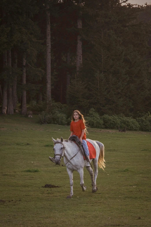 a child is riding on the back of a horse