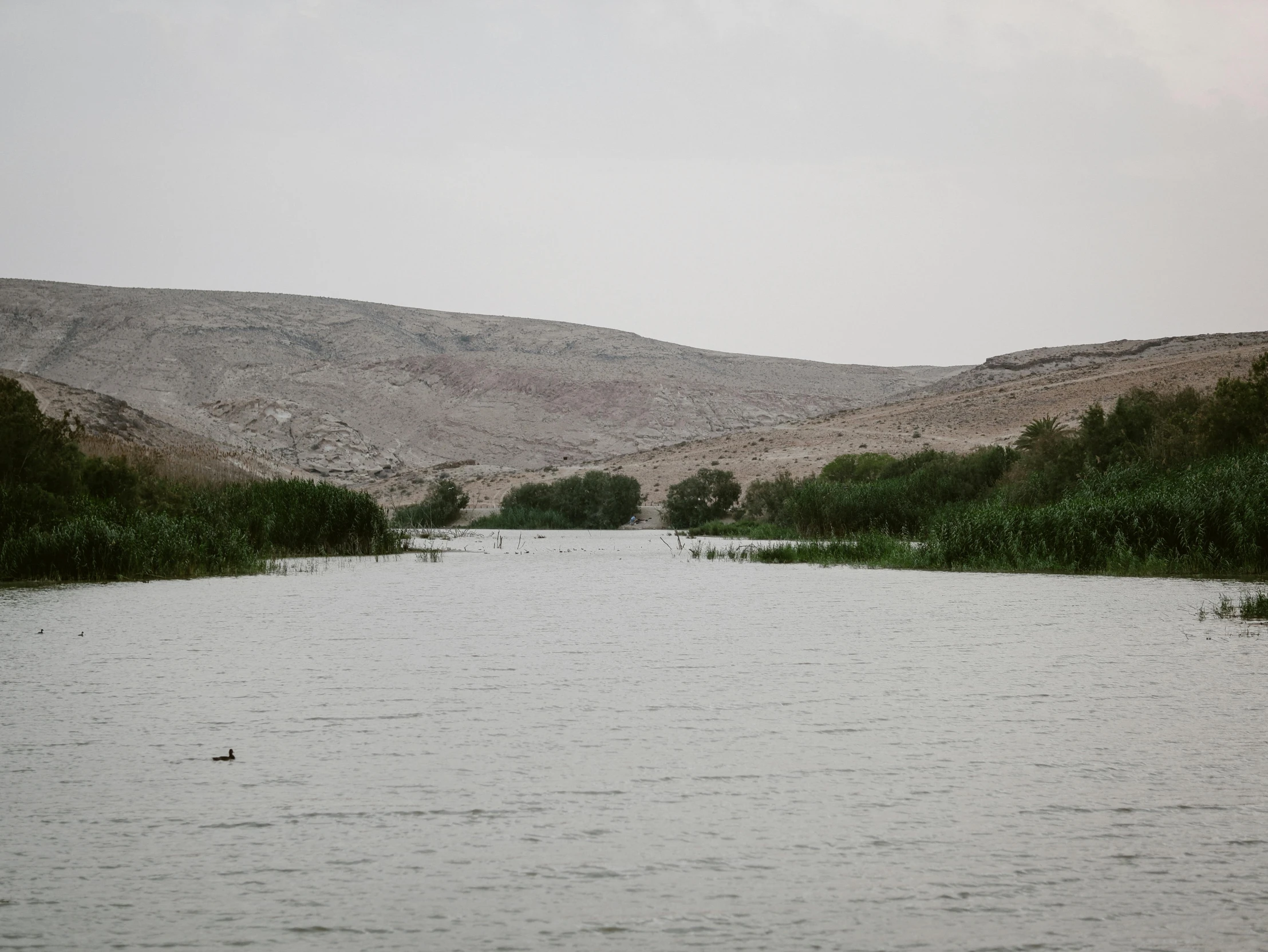 a body of water near mountains and a small hill