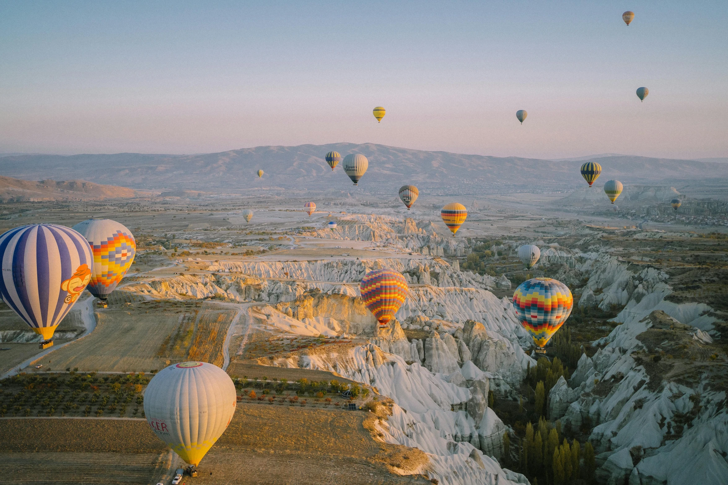 a number of  air balloons flying in the sky