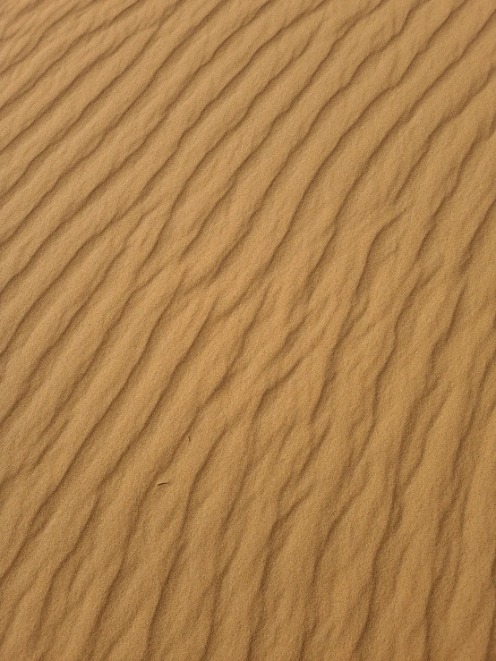 some brown sand on a beach and some trees