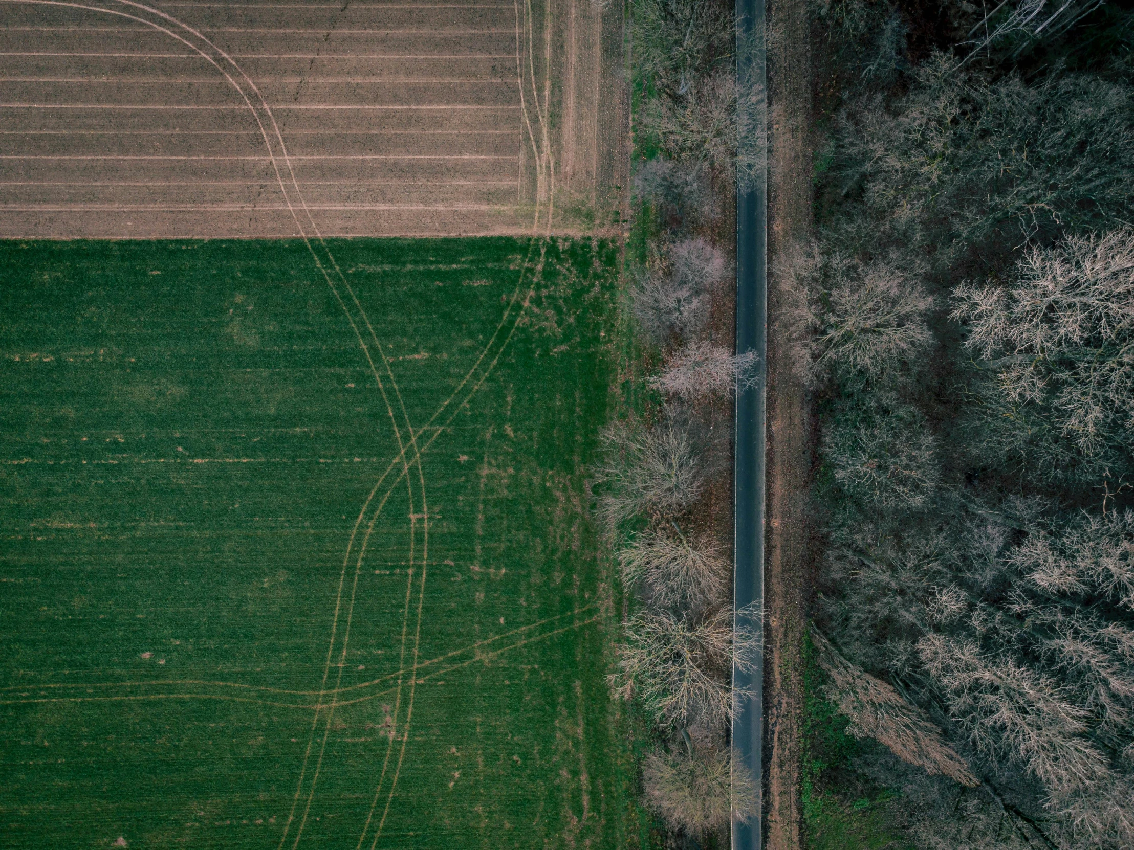 an aerial view of an open field with a blue sky