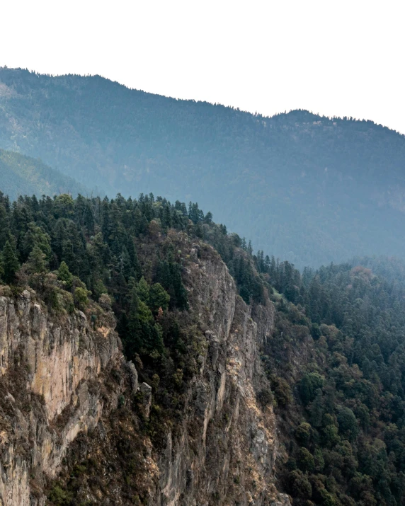 a tree line and mountains are pictured in this po