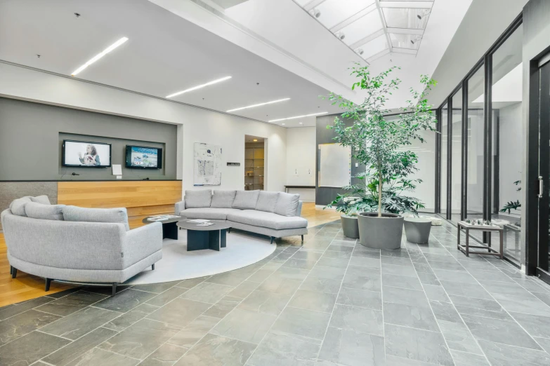 modern office lobby with curved couches and a plant