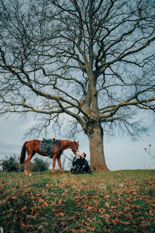 man is sitting under a tree in a field with his horse