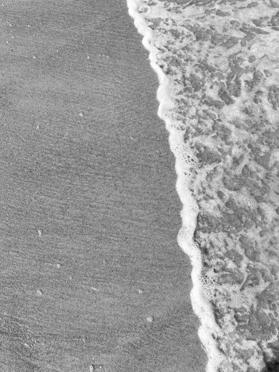 a black and white po of an ocean shore