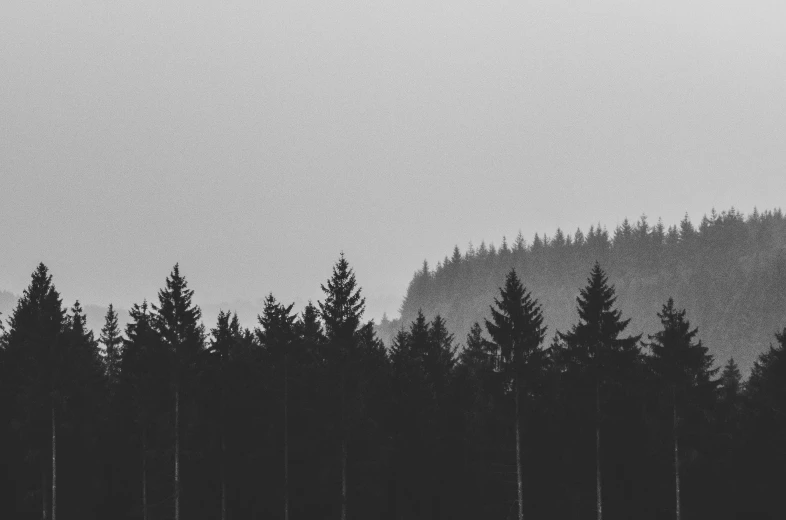 a group of trees sit in the dark, gloomy skies