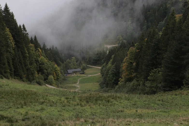 a house surrounded by trees with a hill below