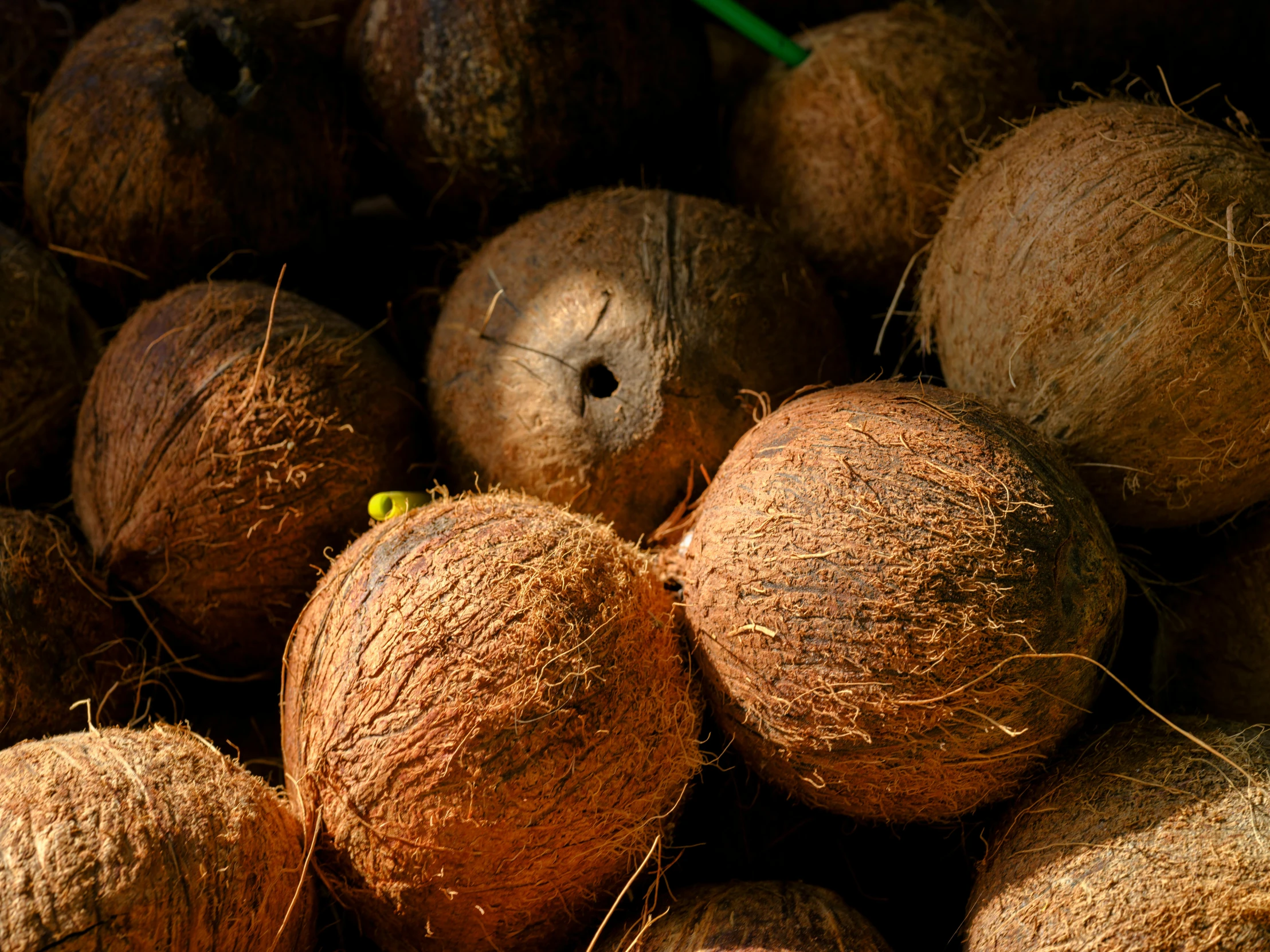 a lot of nuts stacked in some kind of pile