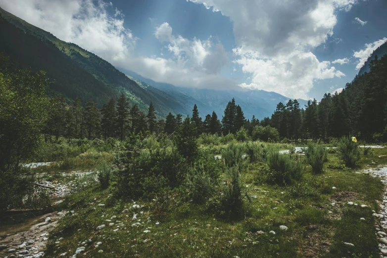 a scenic mountain area with green, rocky, and blue grasses and trees