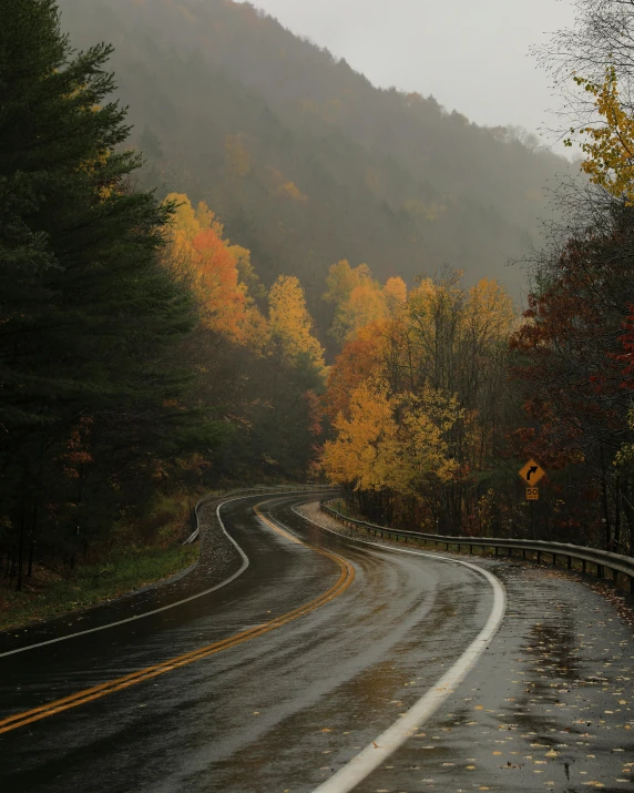 an image of the road on a rainy day