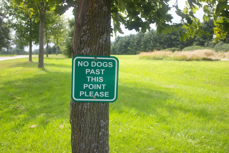 this sign is posted on a tree in a park