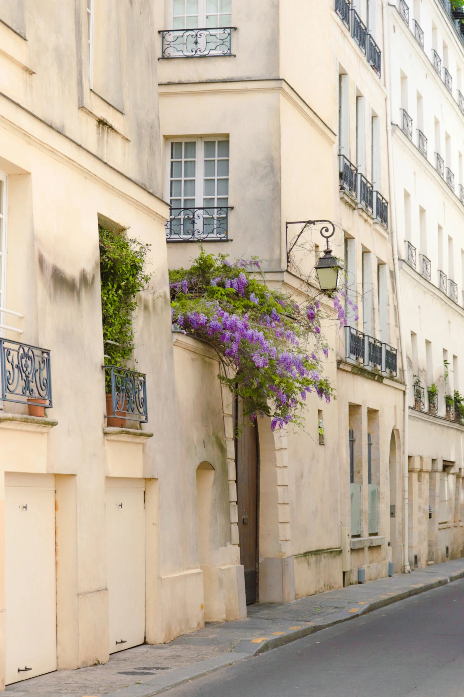 an alleyway has many flower in a city