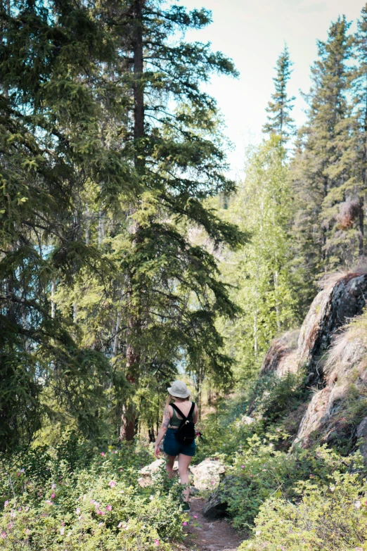 a person on a trail in the woods