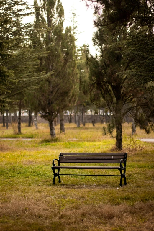 an empty bench in the grass with trees in the background