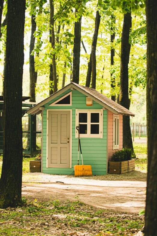 a tiny cabin is in the middle of a forest