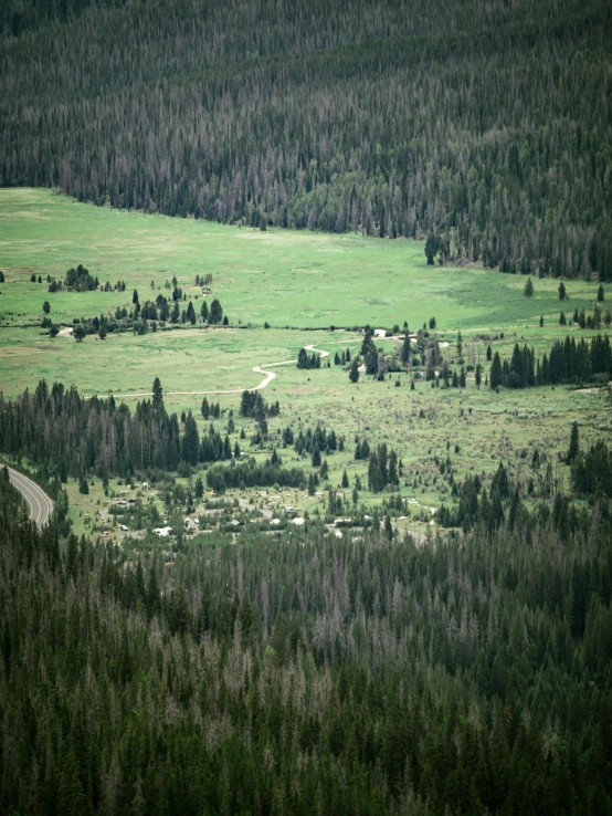 an open area in the mountains with lush green grass