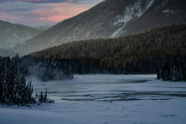 a group of trees in the snow by a river and mountains