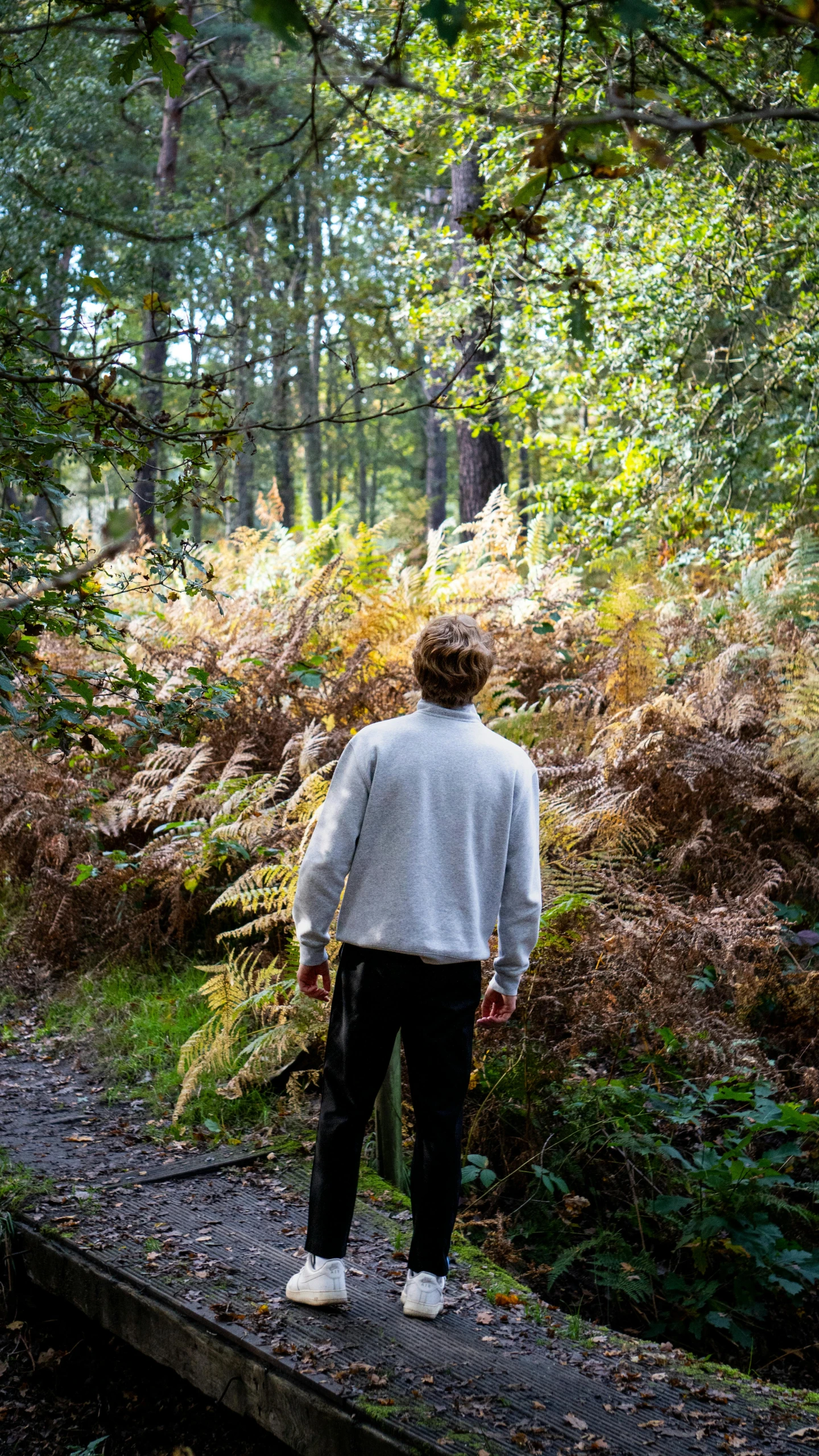 a person standing on a wooden bench in the woods