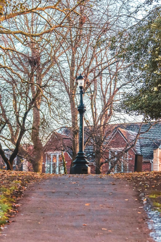 a lamp post next to a tree filled street