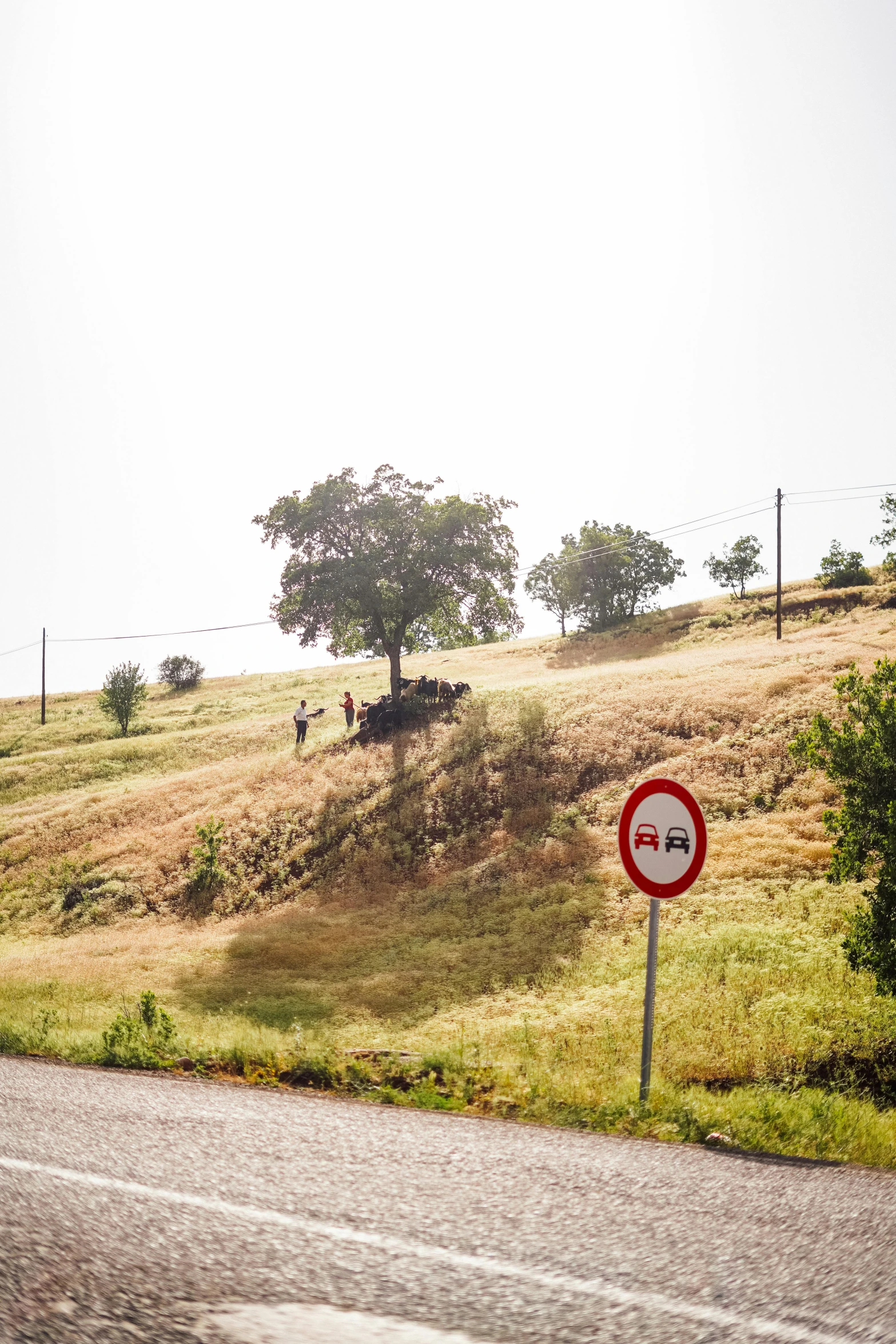 a sign on the side of the road telling motorists to stop in a country road