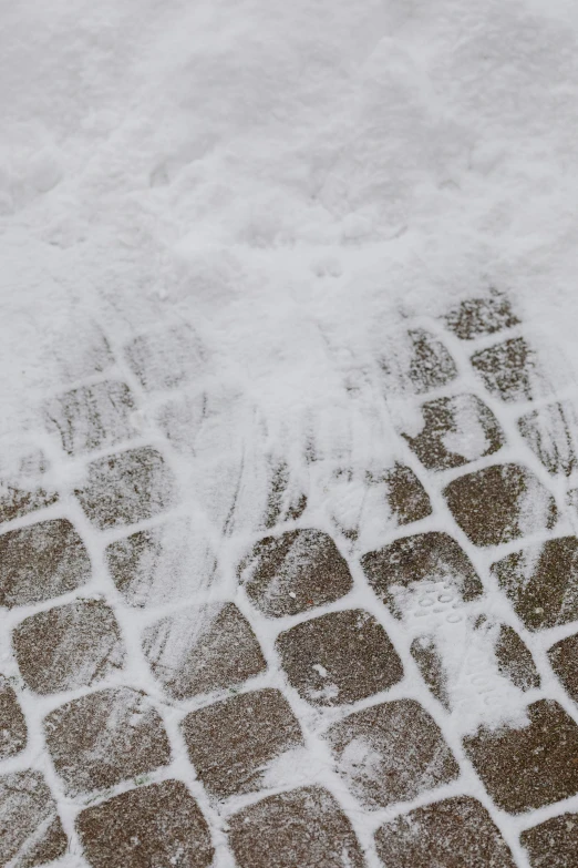 a close up view of an umbrella on the ground