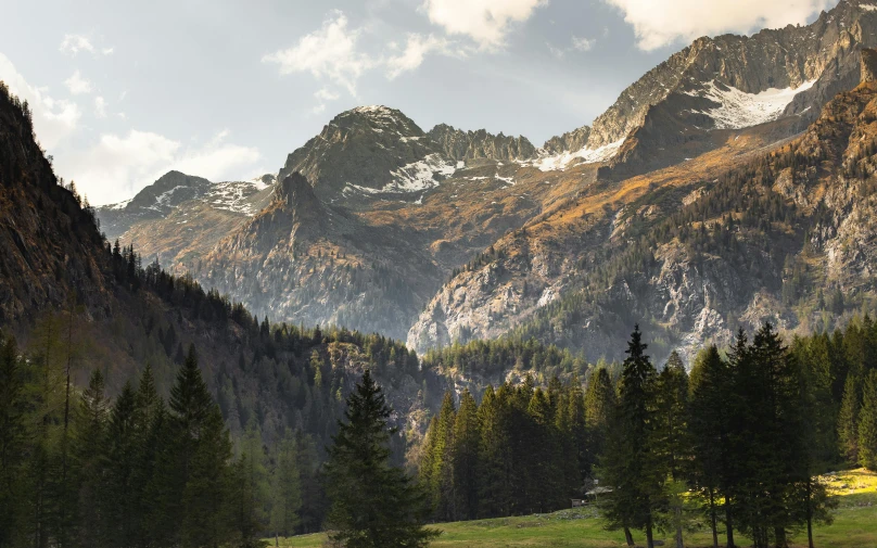 trees and mountains line a grassy field with green grass