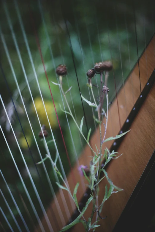 flowers that are sitting on a bench outside