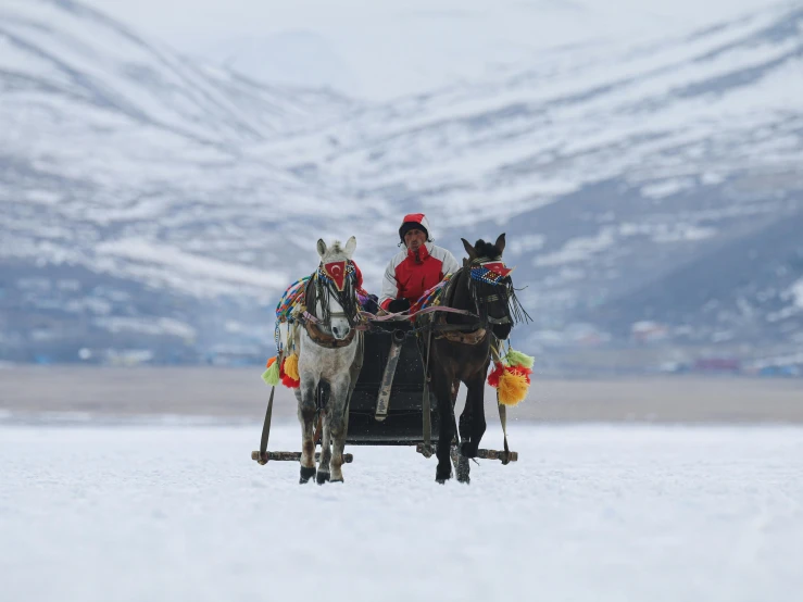 the two people are riding in the cart with their horses