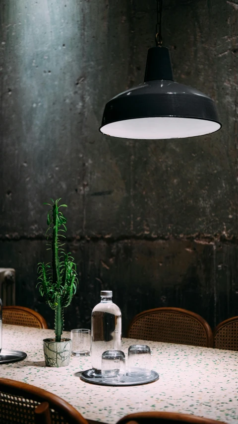 a cactus sits on a table next to an empty bottle