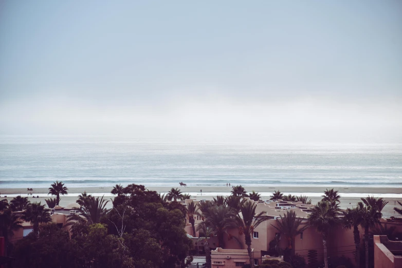 a city on a beach with trees and ocean in the background