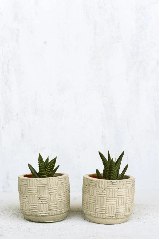 two planters sitting side by side, one has a small green plant