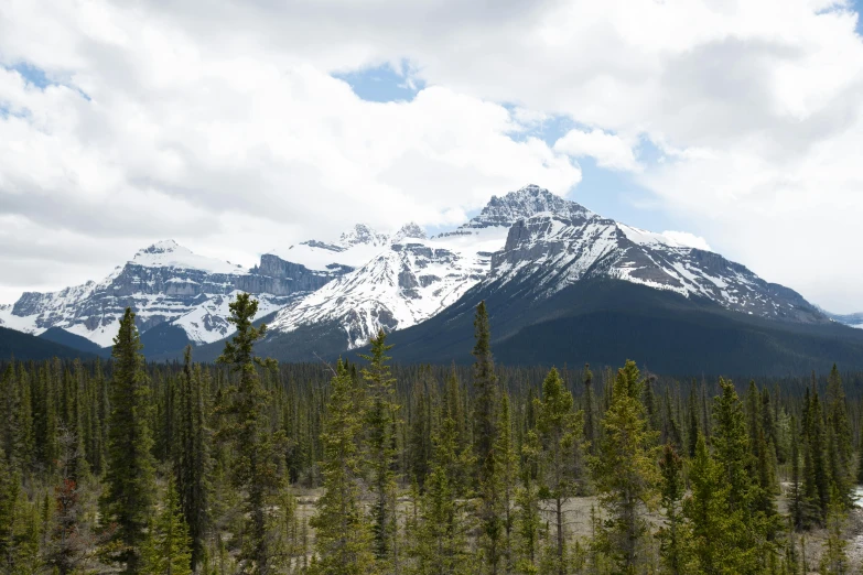 a mountain in the distance with several trees near by