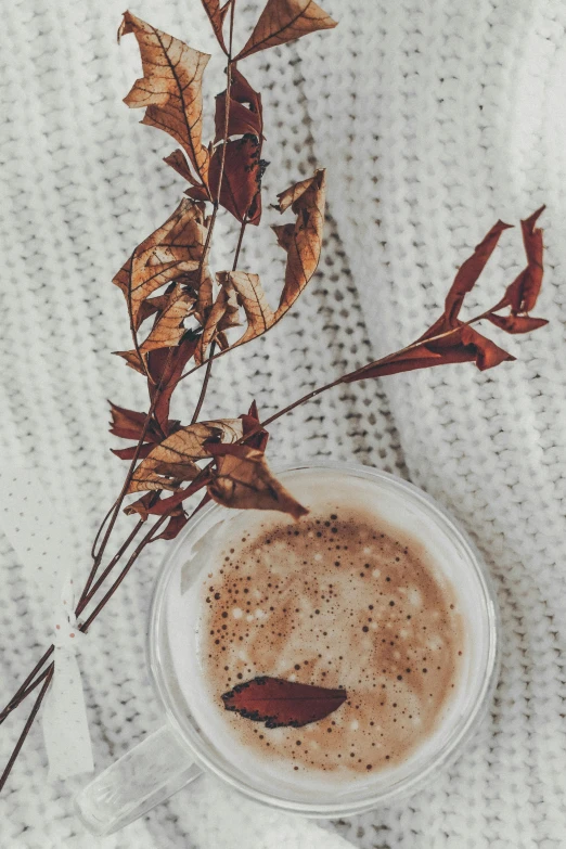 a glass cup that has some tea and leaves in it