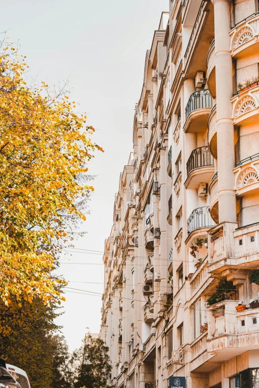 tall buildings with balconies lining the sides