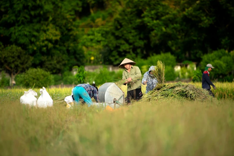 a group of people picking up hay in a field