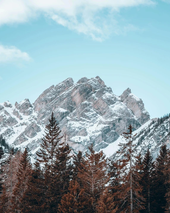 snow covered mountain peaks with trees and blue sky