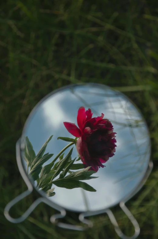 a po taken from above looking in a round mirror