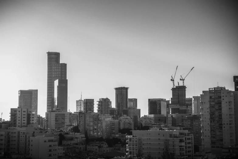 black and white pograph of buildings in a large city