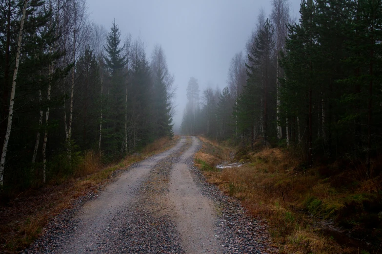 this is a pograph of a single road in the woods