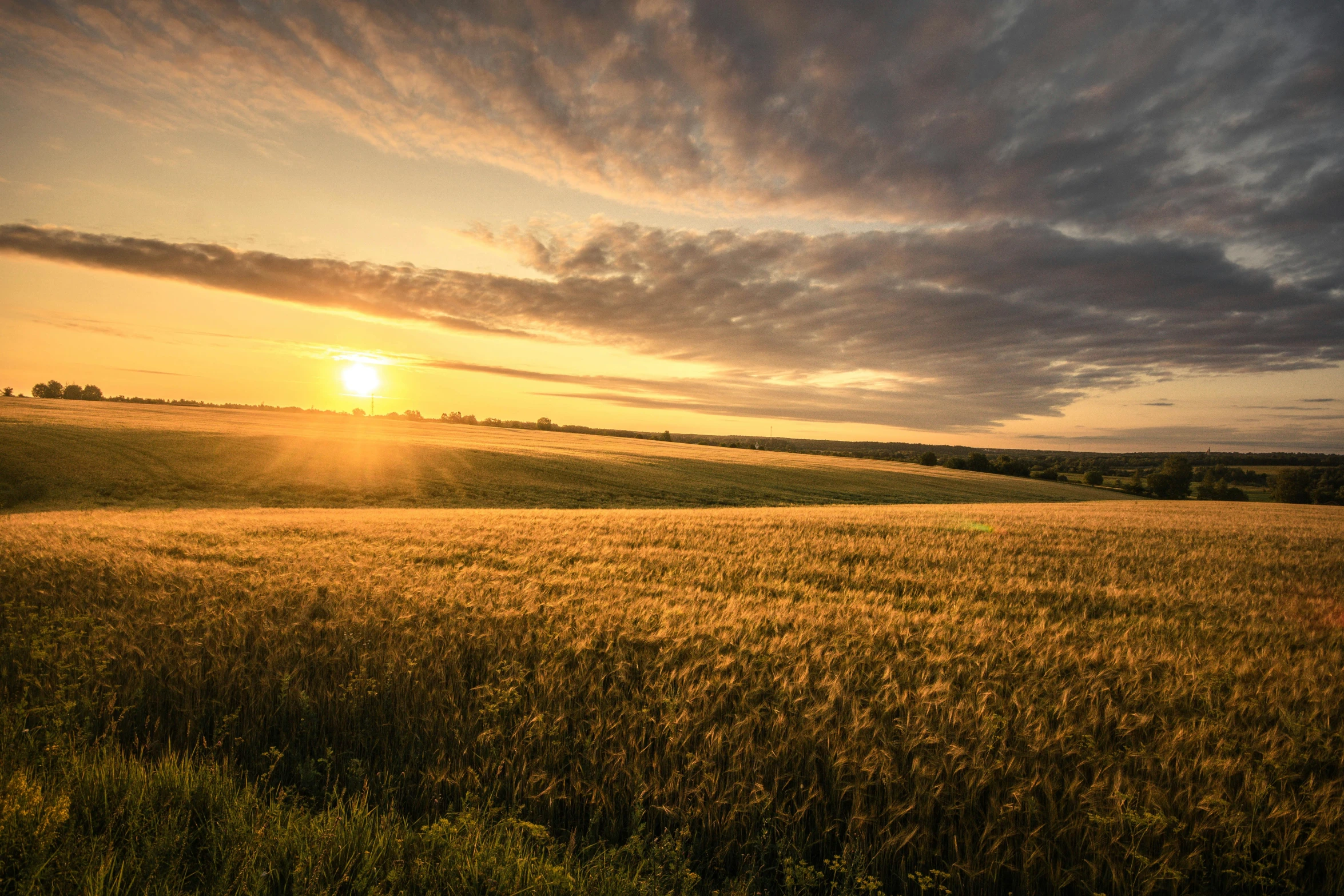 the sun shines brightly on a green plain