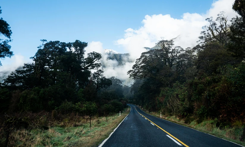 a road that is surrounded by some trees and bushes