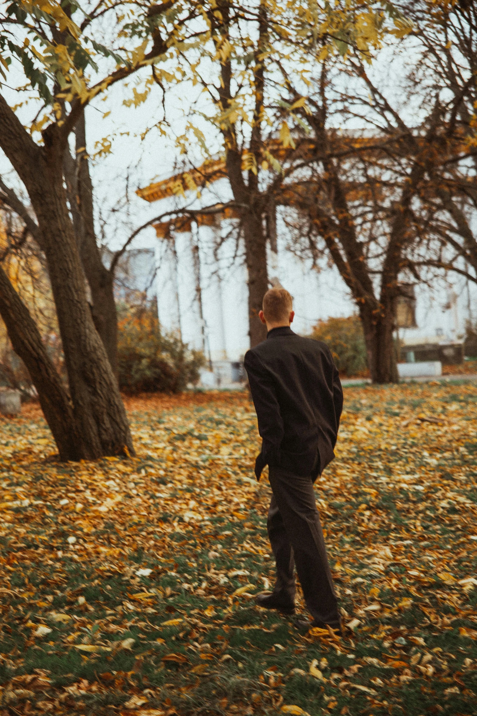 a man standing in the leaves with his back turned to the camera